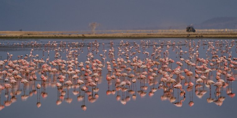 097 Amboseli Nationaal Park.jpg